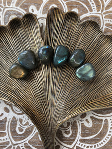 Labradorite